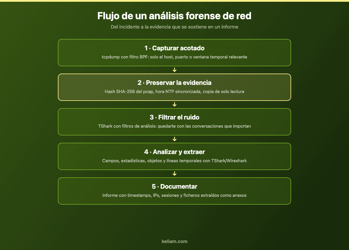 Flujo de un análisis forense de red en cinco pasos: capturar acotado, preservar evidencia con hash, filtrar, analizar y documentar