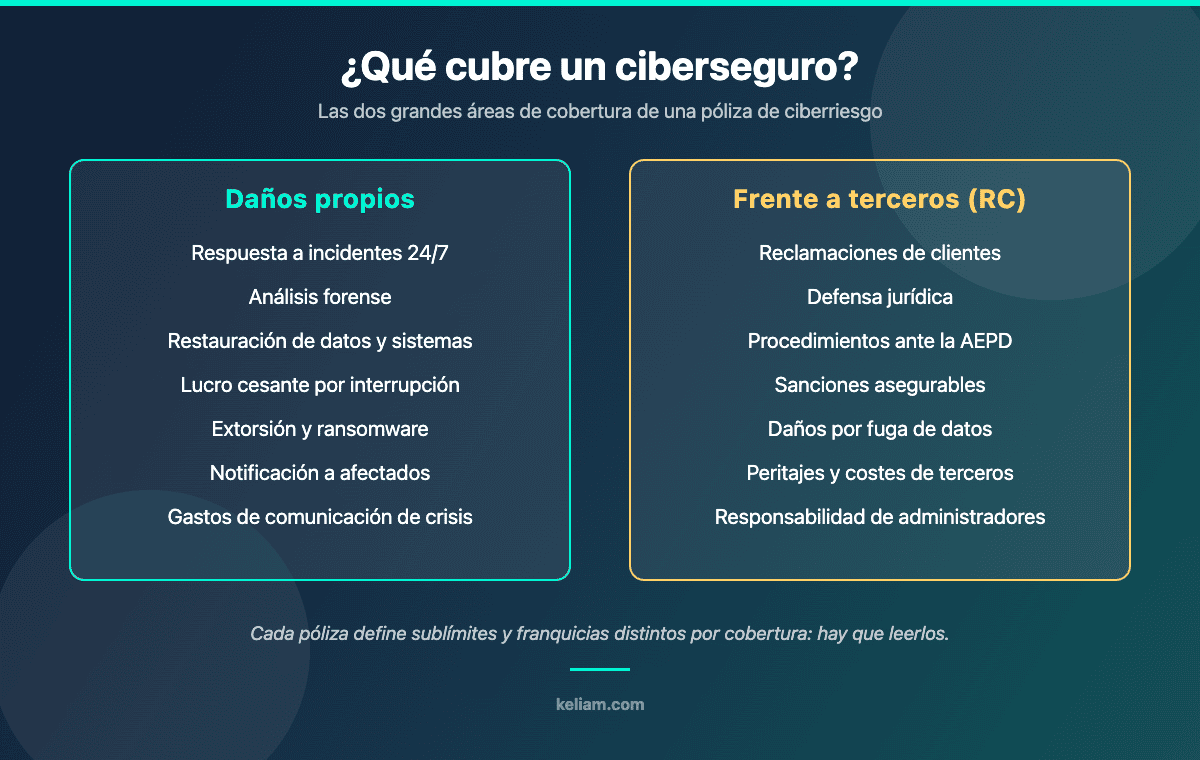 Diagrama de coberturas de un ciberseguro para pymes: daños propios y responsabilidad frente a terceros