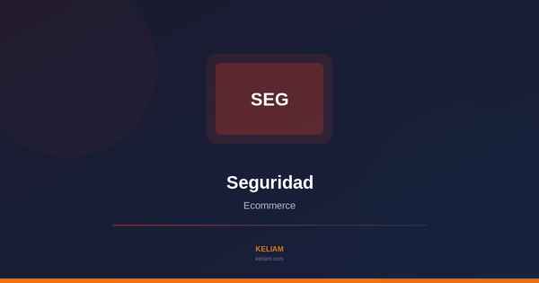 Seguridad Ecommerce Tienda Online
