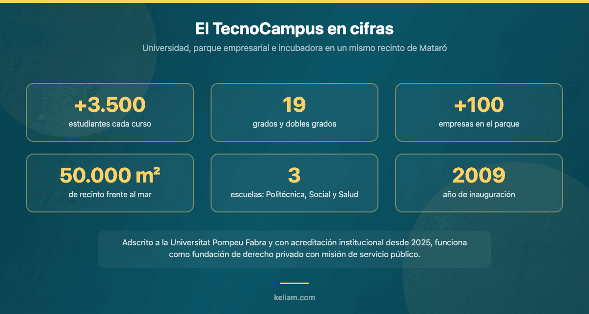 Principales cifras del TecnoCampus de Mataró: estudiantes, grados, empresas del parque y superficie